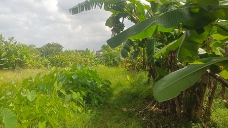 Land Leasehold In Heart Berawa Canggu Bali