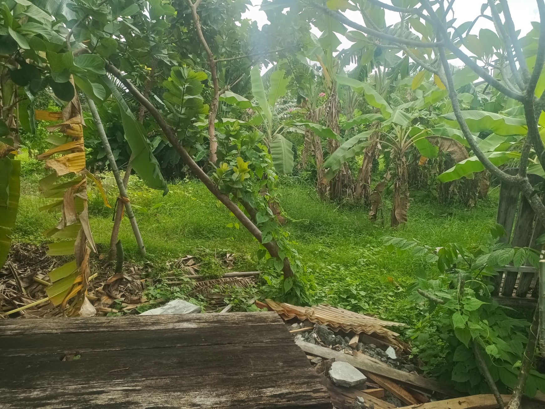 Land Leasehold In Heart Berawa Canggu Bali