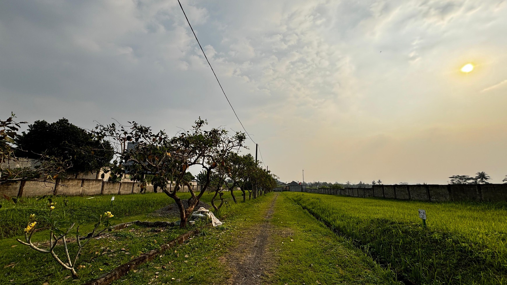 Lahan/ Kavling Cluster 8000 m2 Berikut 7 Unit Rumah Di Jl. Letkol Atang Sanjaya, Ranca Bungur, Bogor