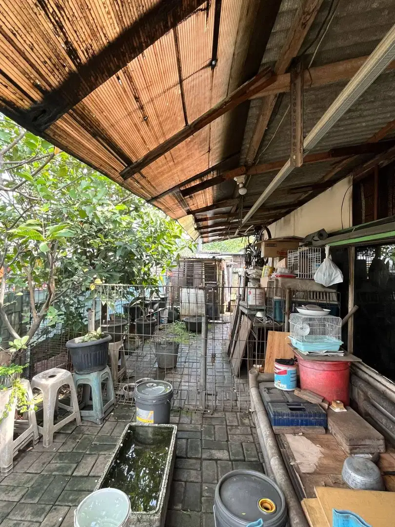 Harga miring. Ruko 1 lantai BSD sektor 14.6