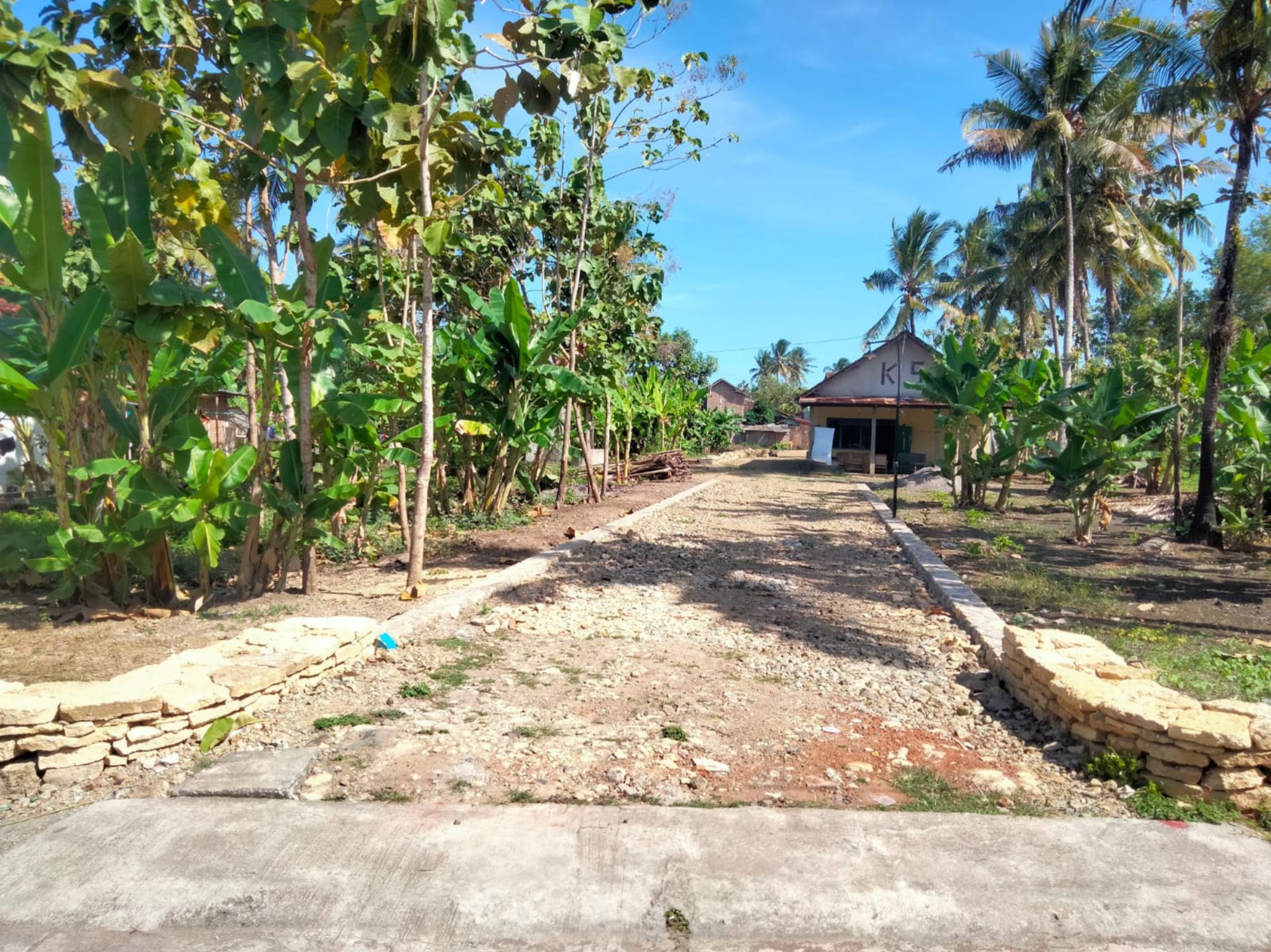 Tanah Kavling Diarea Kampus UNY Pengasih Kulon Progo