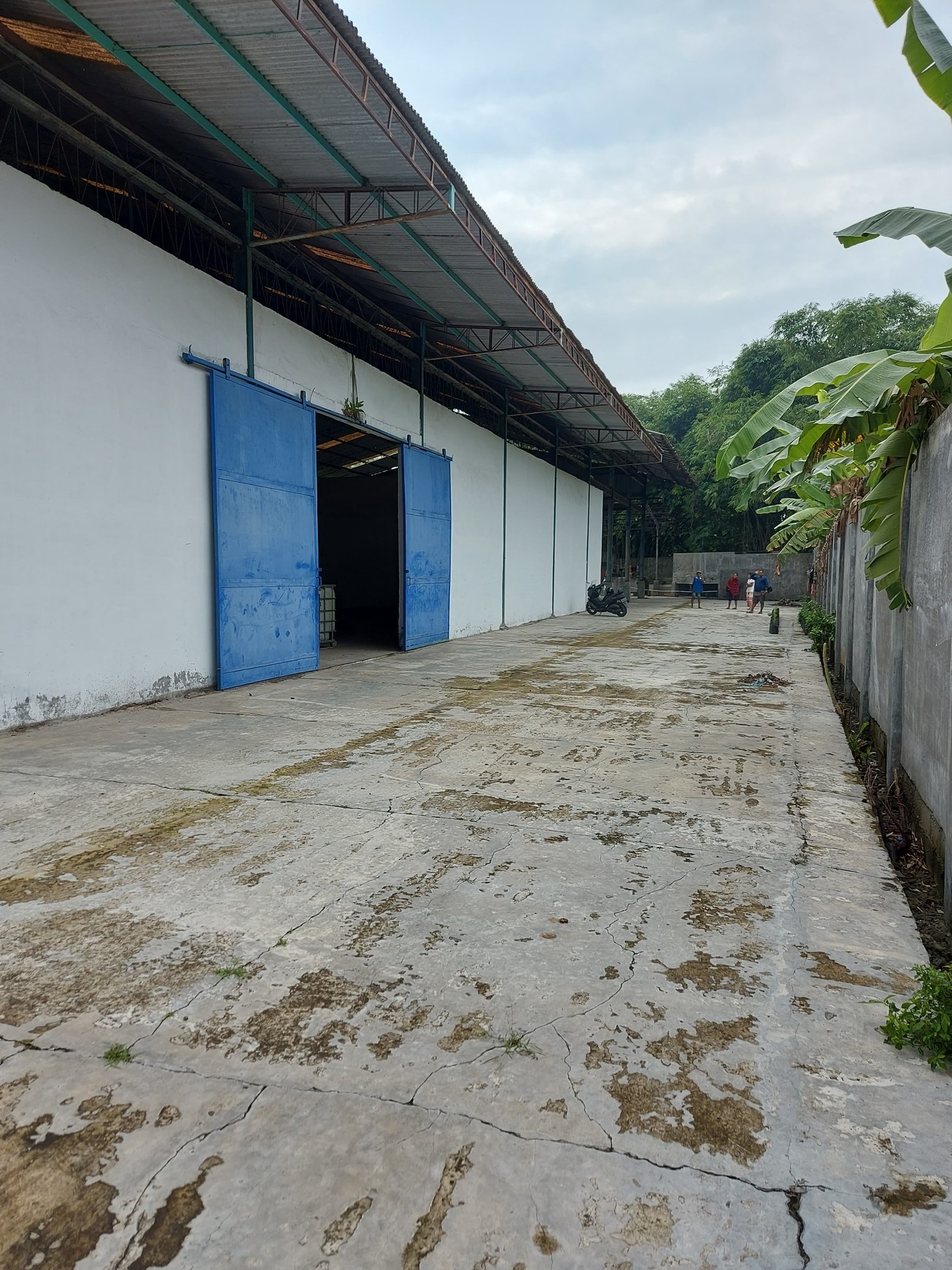 Gudang Bagus Lokasi klumpang Deli Serdang Sumatera Utara