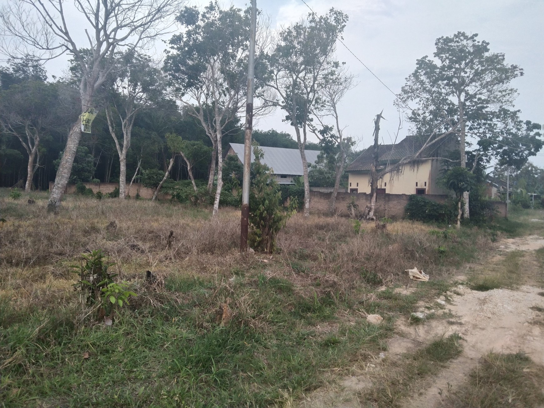 DIJUAL CEPAT & MURAH TANAH DI SABAH BALAU SANGAT COCOK UNTUK CUSTER