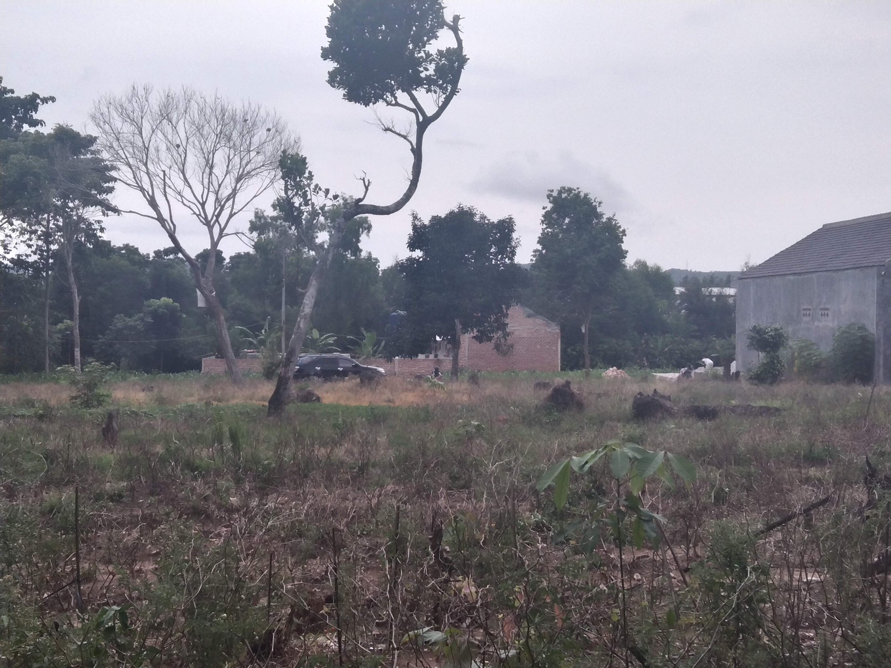 DIJUAL CEPAT & MURAH TANAH DI SABAH BALAU SANGAT COCOK UNTUK CUSTER