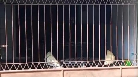 Rumah Klasik di Pondok Labu Jakarta Selatan