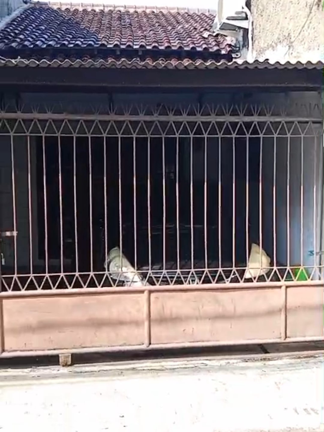 Rumah Klasik di Pondok Labu Jakarta Selatan