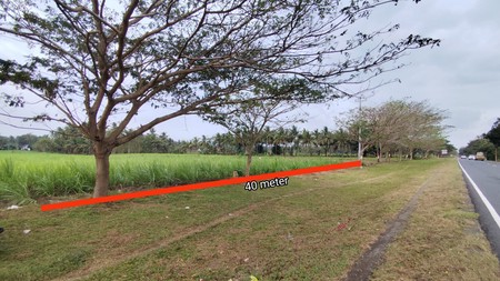 Tanah Luas (Zona Merah) di Jl. Deandels, Purworejo - Hanya 10 Menit dari Bandara YIA