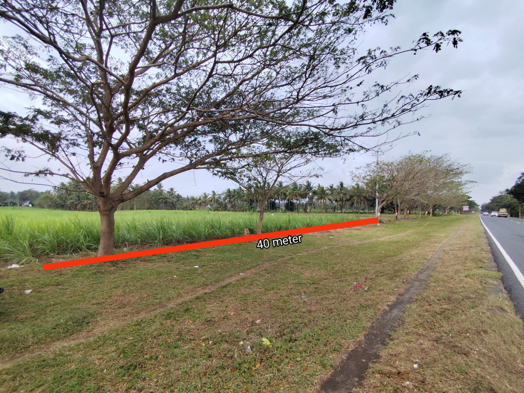 Tanah Luas (Zona Merah) di Jl. Deandels, Purworejo - Hanya 10 Menit dari Bandara YIA