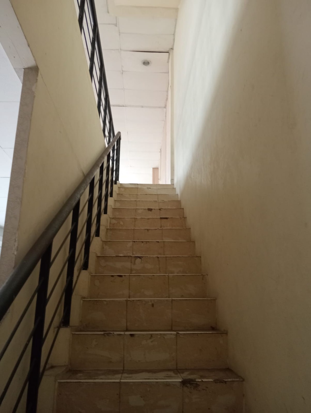 disewa ruko strategis dekat jalan pahlawan seribu golden boulevard bsd city siap huni