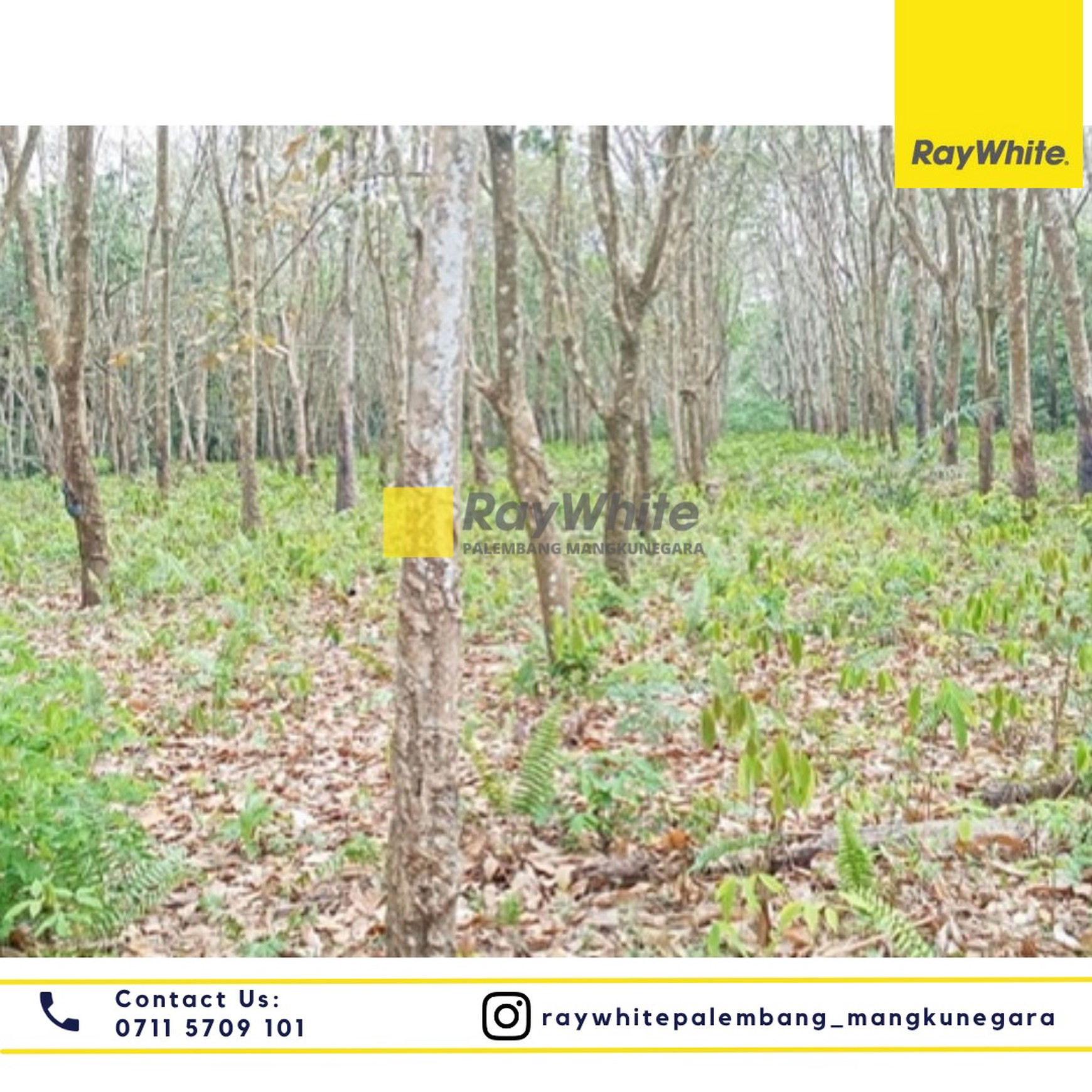 DIJUAL TANAH LUAS 13.030 m2 di Jl. Indralaya - Prabumulih Desa Bakung Kel. Bakung Kec. Ogan Komering Ilir Kab. Ogan Ilir
