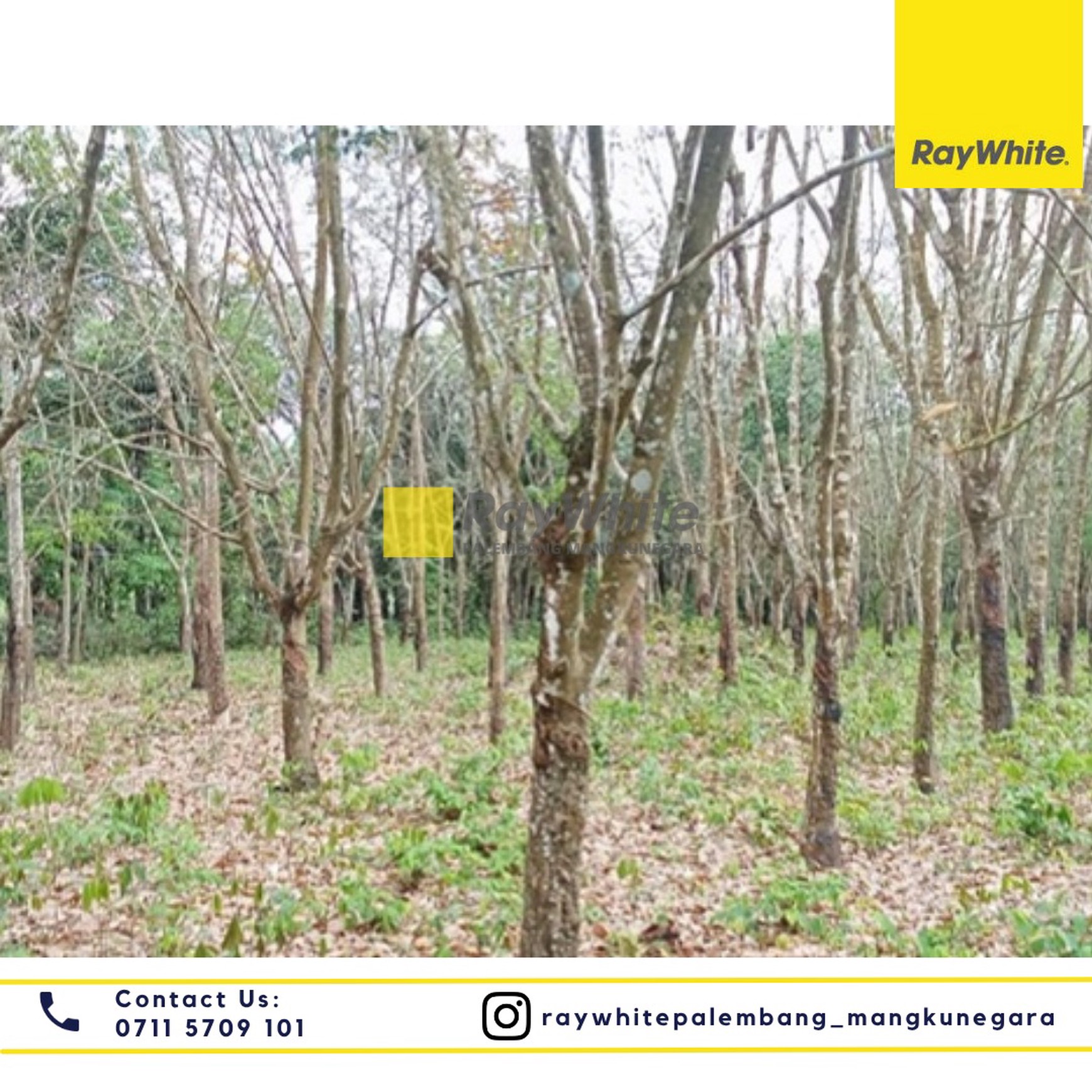 DIJUAL TANAH LUAS 13.030 m2 di Jl. Indralaya - Prabumulih Desa Bakung Kel. Bakung Kec. Ogan Komering Ilir Kab. Ogan Ilir