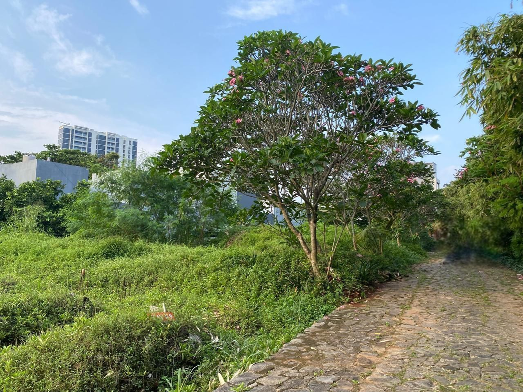 Rumah Hitung Tanah Area Cipete