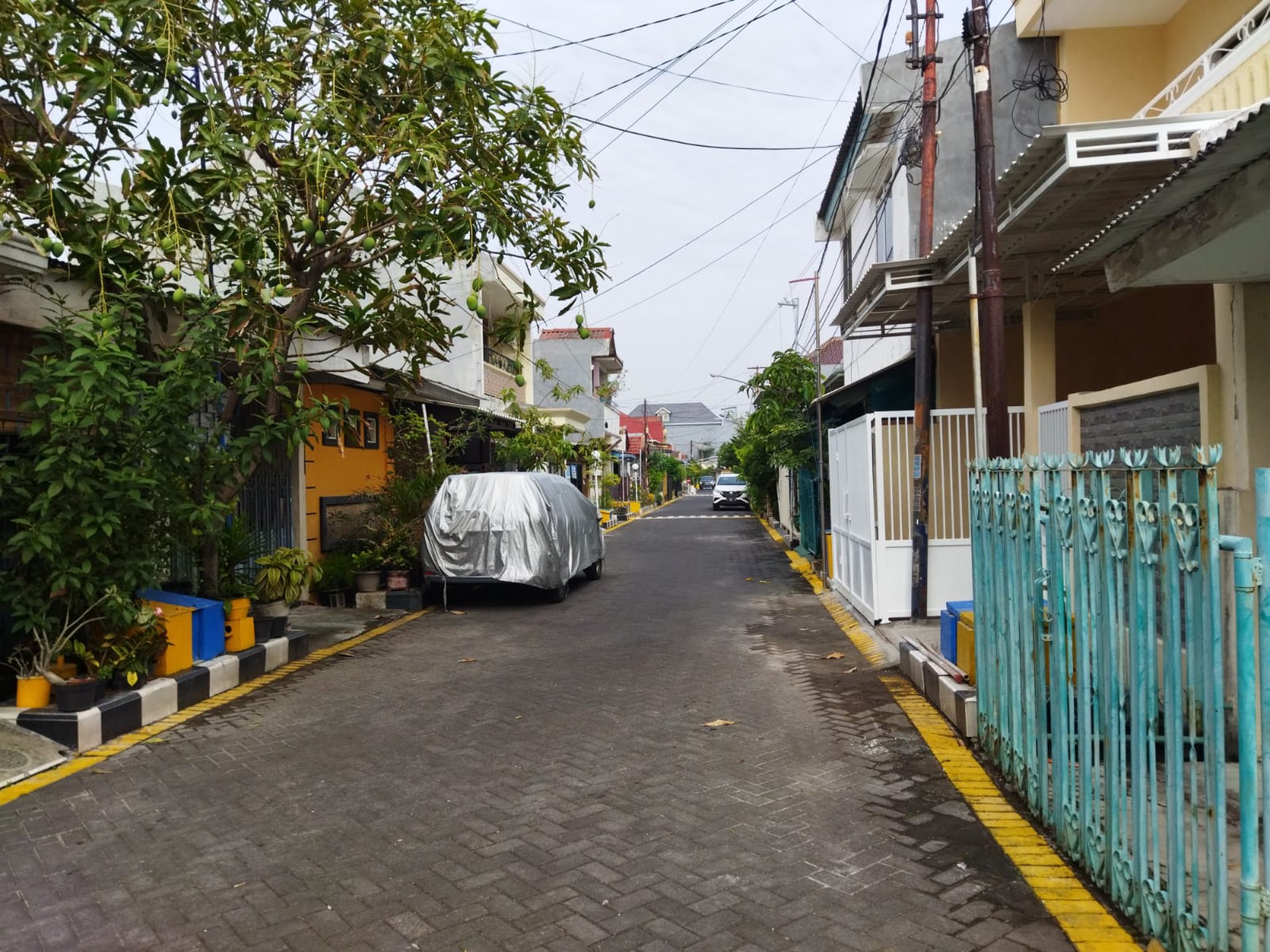 Disewakan Rumah Mulyosari