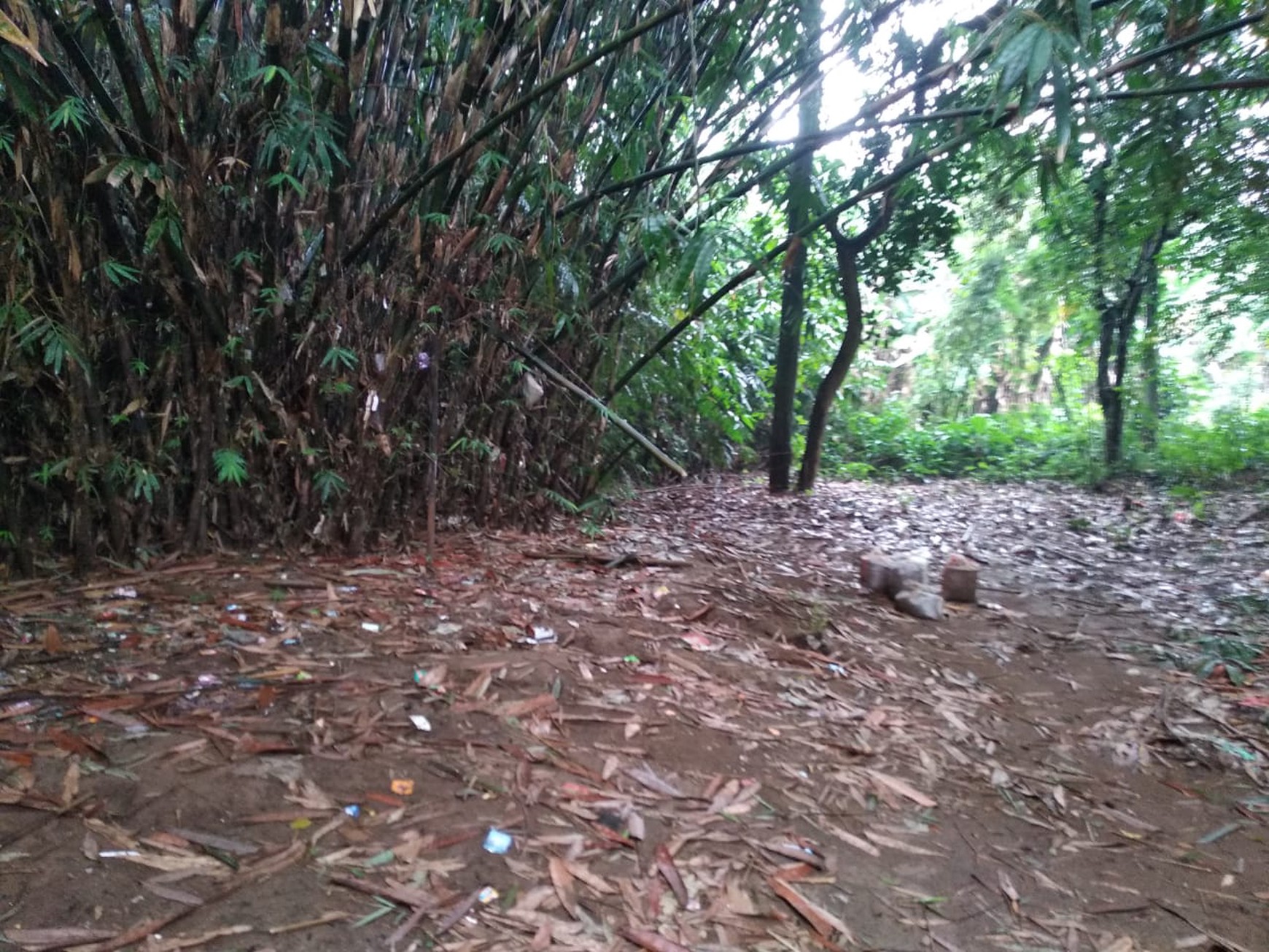 Kavling/ Tanah Murah Ngantong, Strategis Cocok Untuk Kos'an / Kontrakan di Tanjung Barat Jaksel