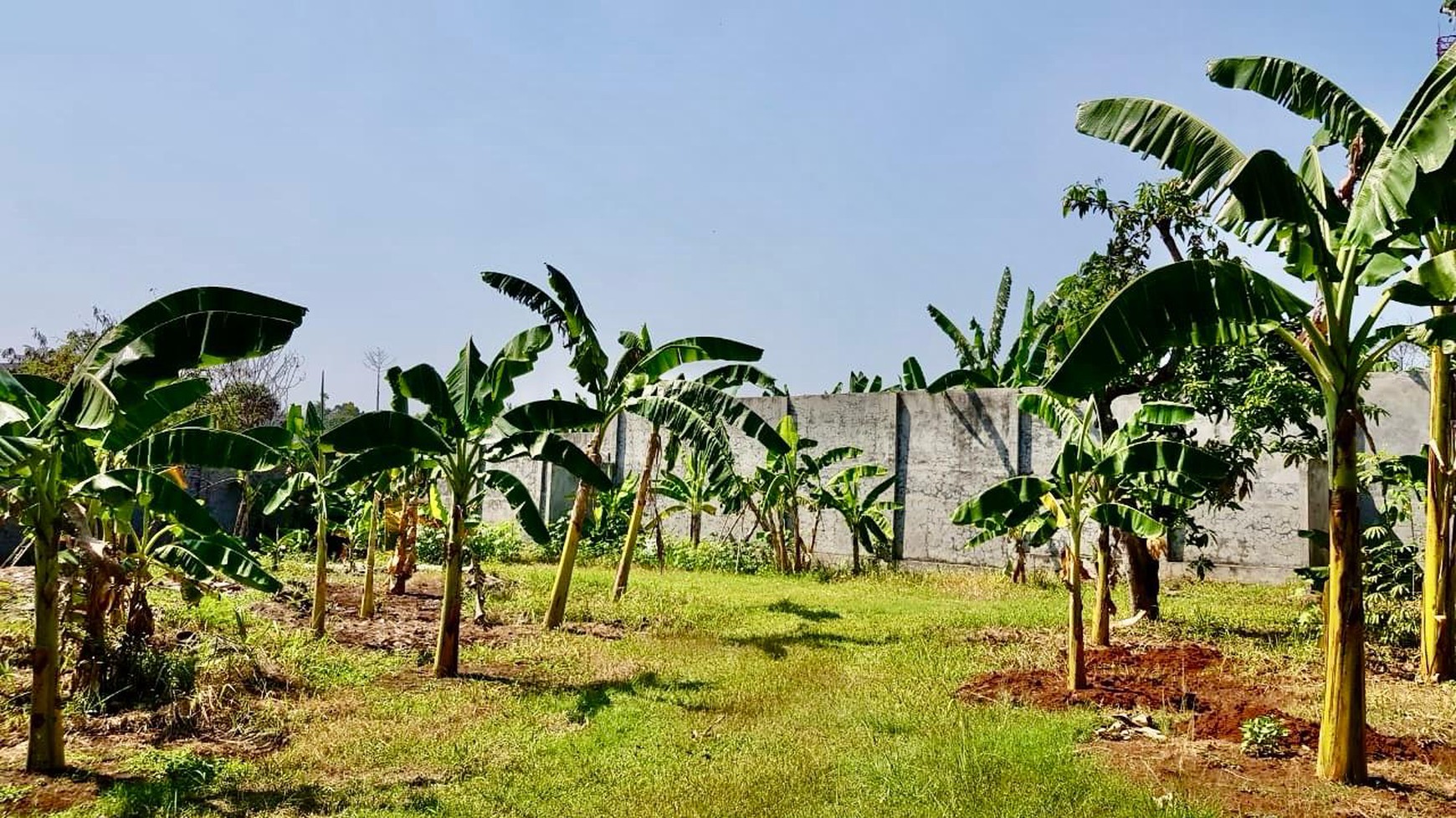 Kavling Komersial dan investasi di Sektor 5 Bintaro Jaya