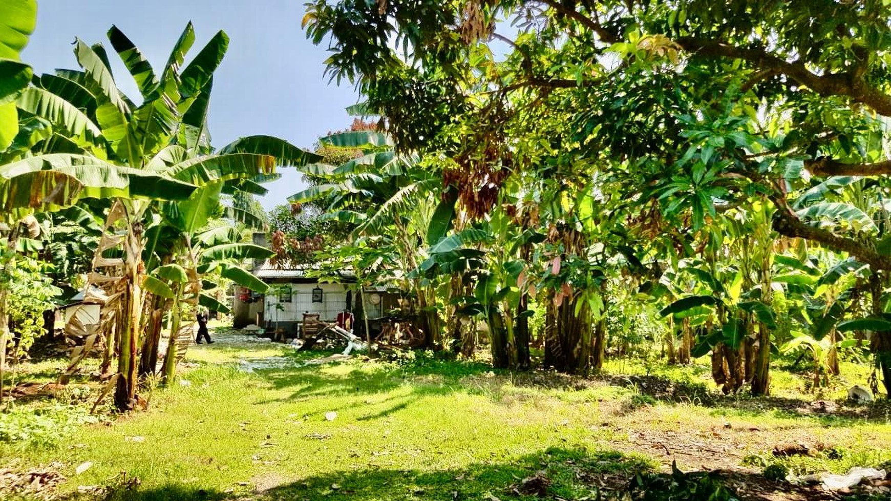 Kavling Komersial dan investasi di Sektor 5 Bintaro Jaya