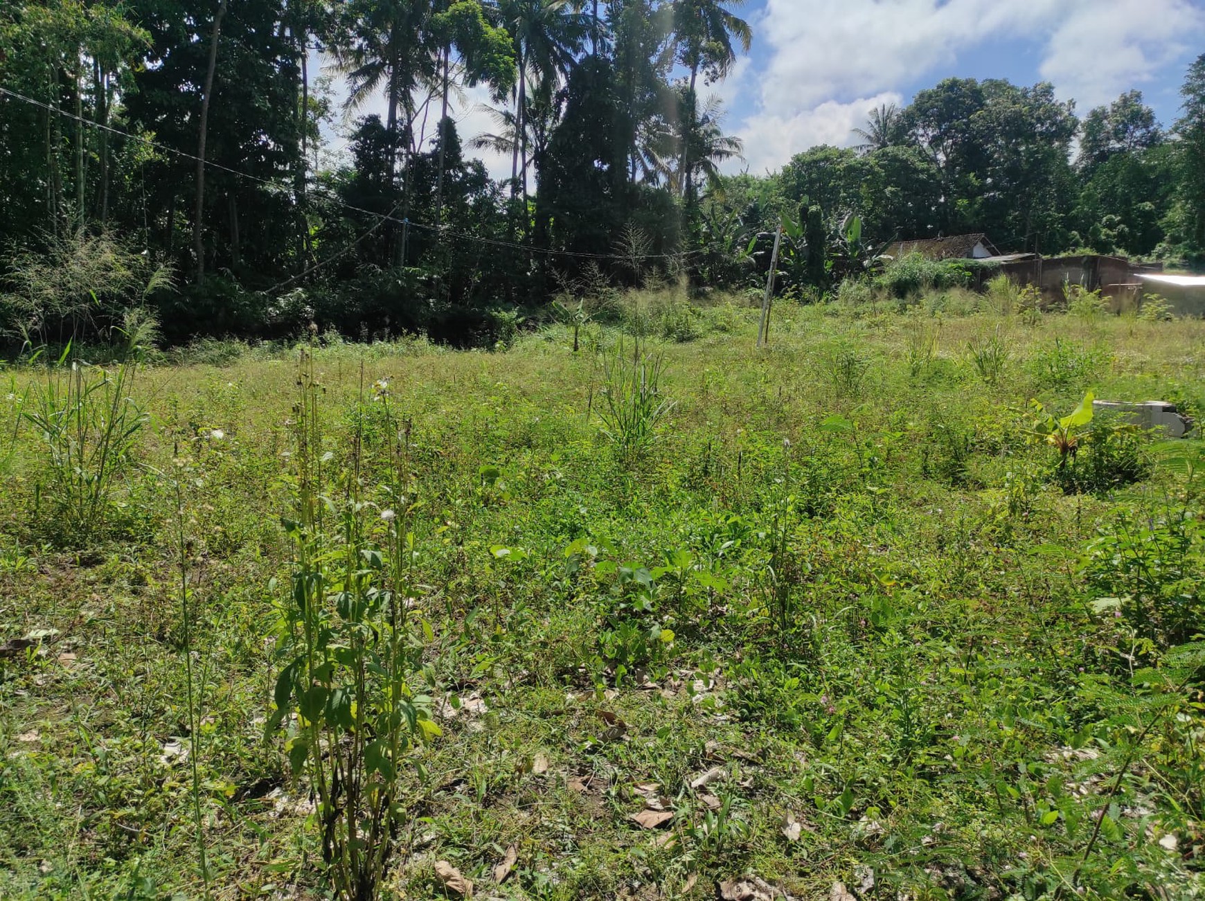 Tanah Luas 917 Meter Persegi Lokasi Startegis Dekat RS Grasia Pakem Sleman 