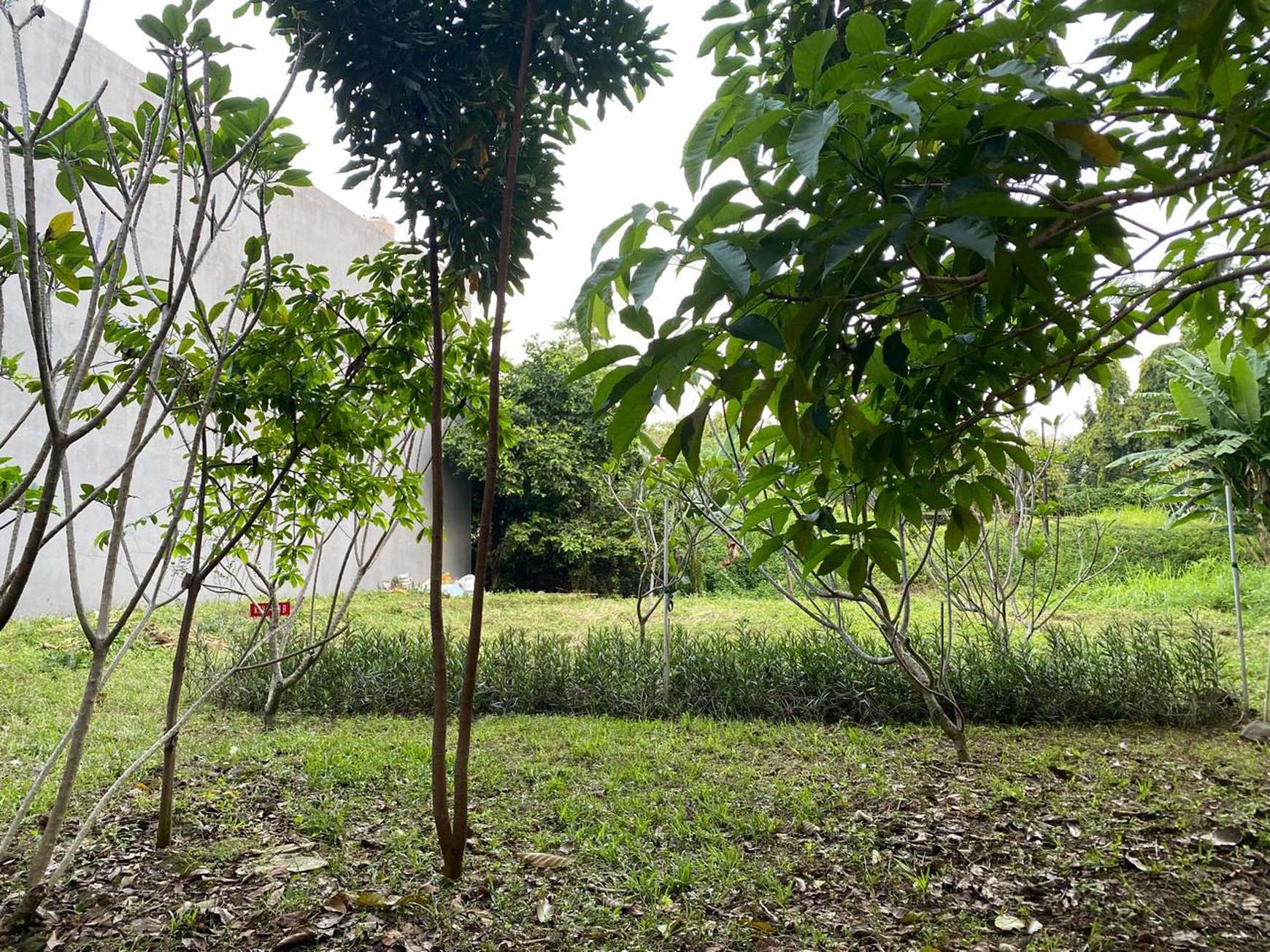 Kavling Siap Bangun di The Riverville Lebak Bulus Plus Desain Rumah Free