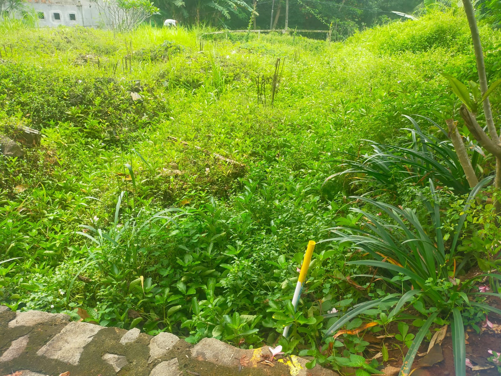 Kavling Siap Bangun di The Riverville Lot 9 Lebak Bulus Jakarta Selatan Free Desain Rumah