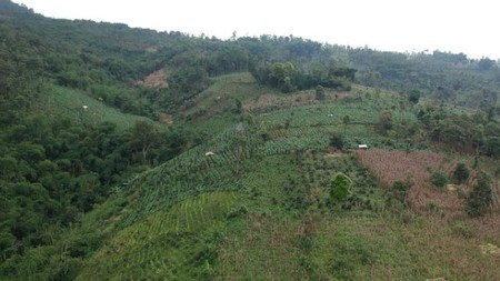 Tanah Kebun Sudah Berizin di Garut