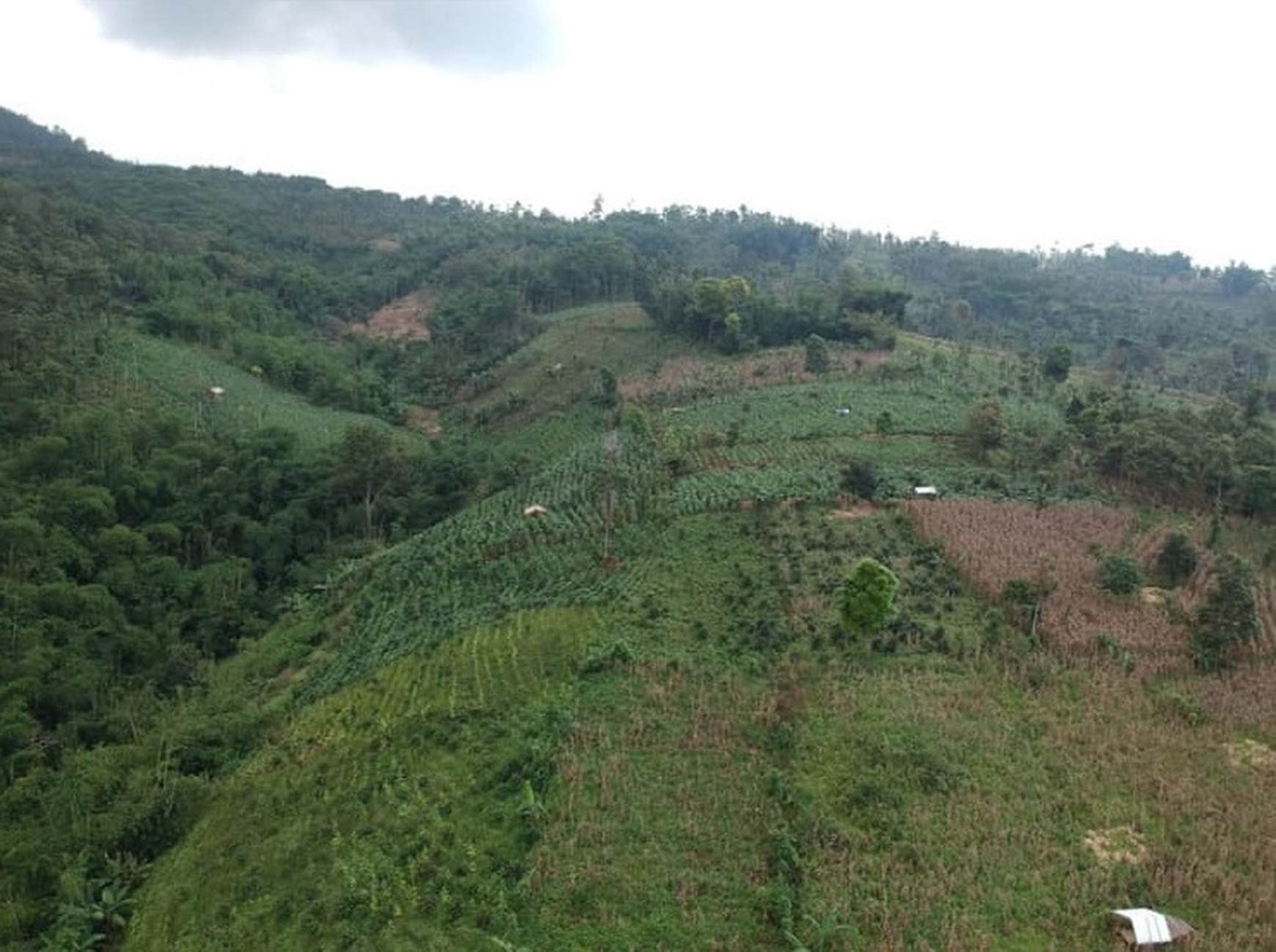 Tanah Kebun Sudah Berizin di Garut