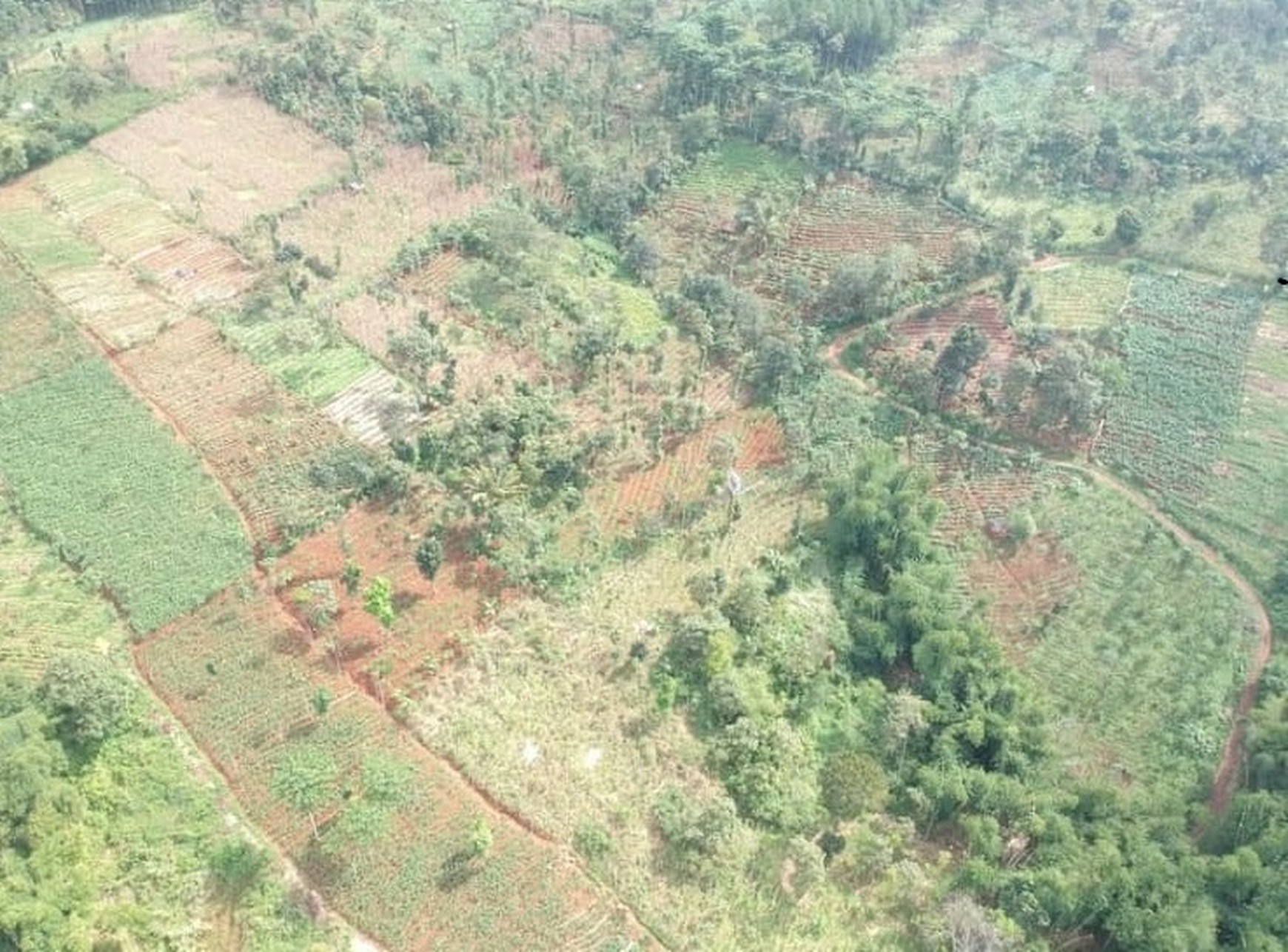 Tanah Kebun Sudah Berizin di Garut