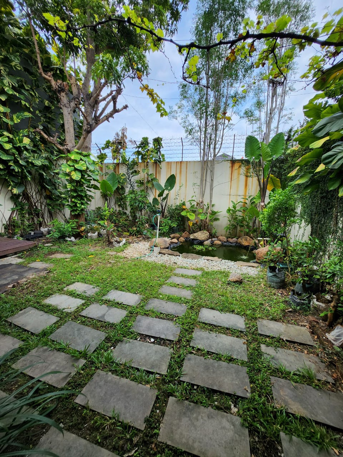 MURAH Rp. 2 M-an Luas Dijual Rumah Royal Residence Semi Furnished - Lokasi Terdepan - Halaman Belakang Luas Hijau Asri Dekat Pakuwon Mall, Citraland