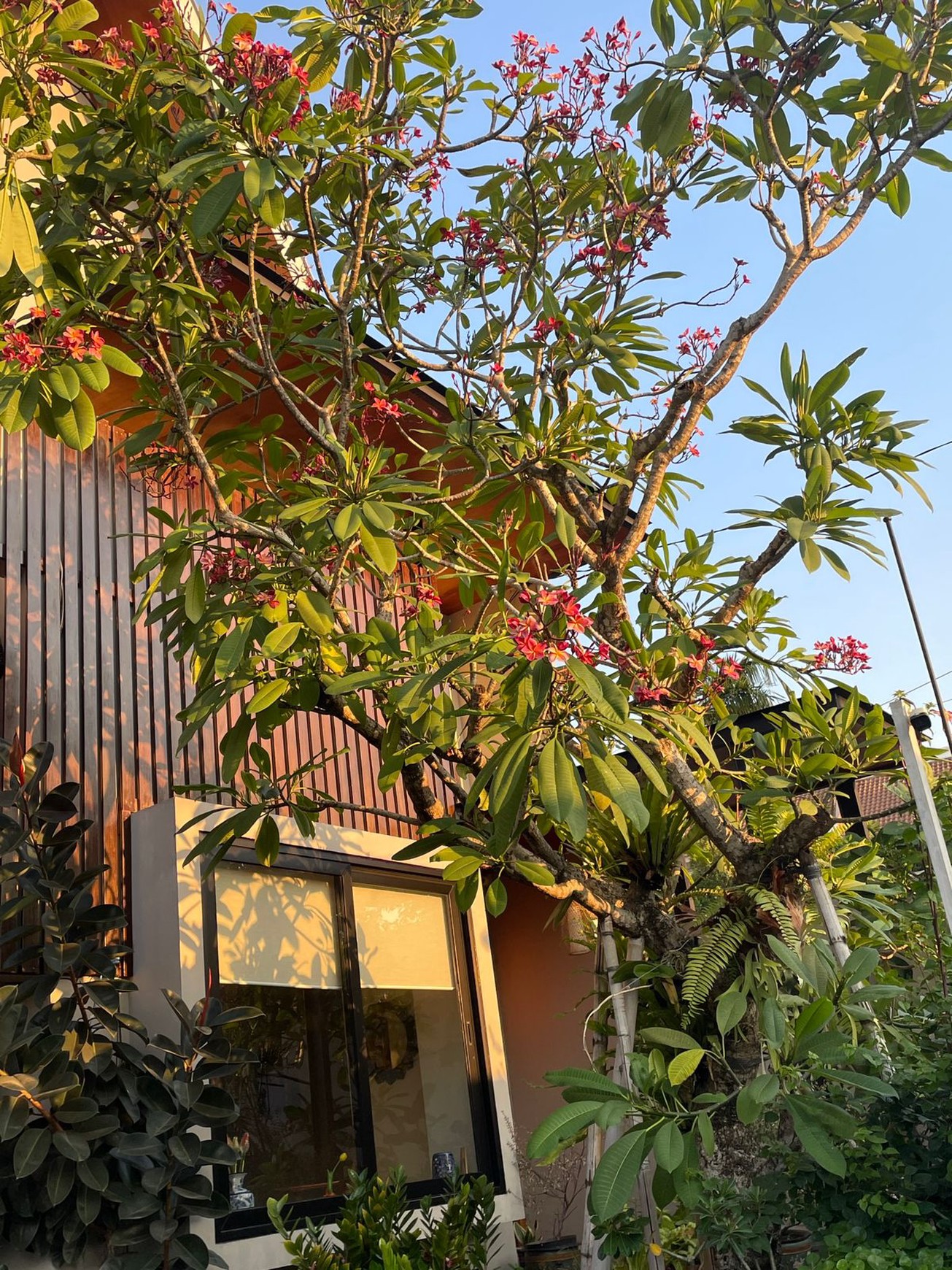 Rumah Mewah Cantik Di Jakarta Selatan Luas 325 m2 Bangunan 450 m2 SHM