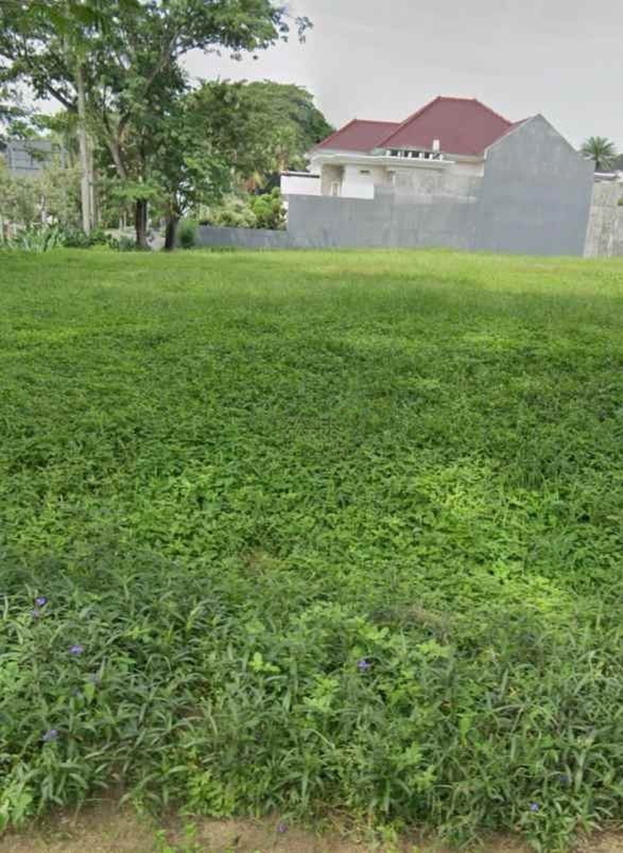Tanah Dijual Murah dan Luas Berlokasi Strategis di Villa Taman Telaga Citraland, Surabaya
