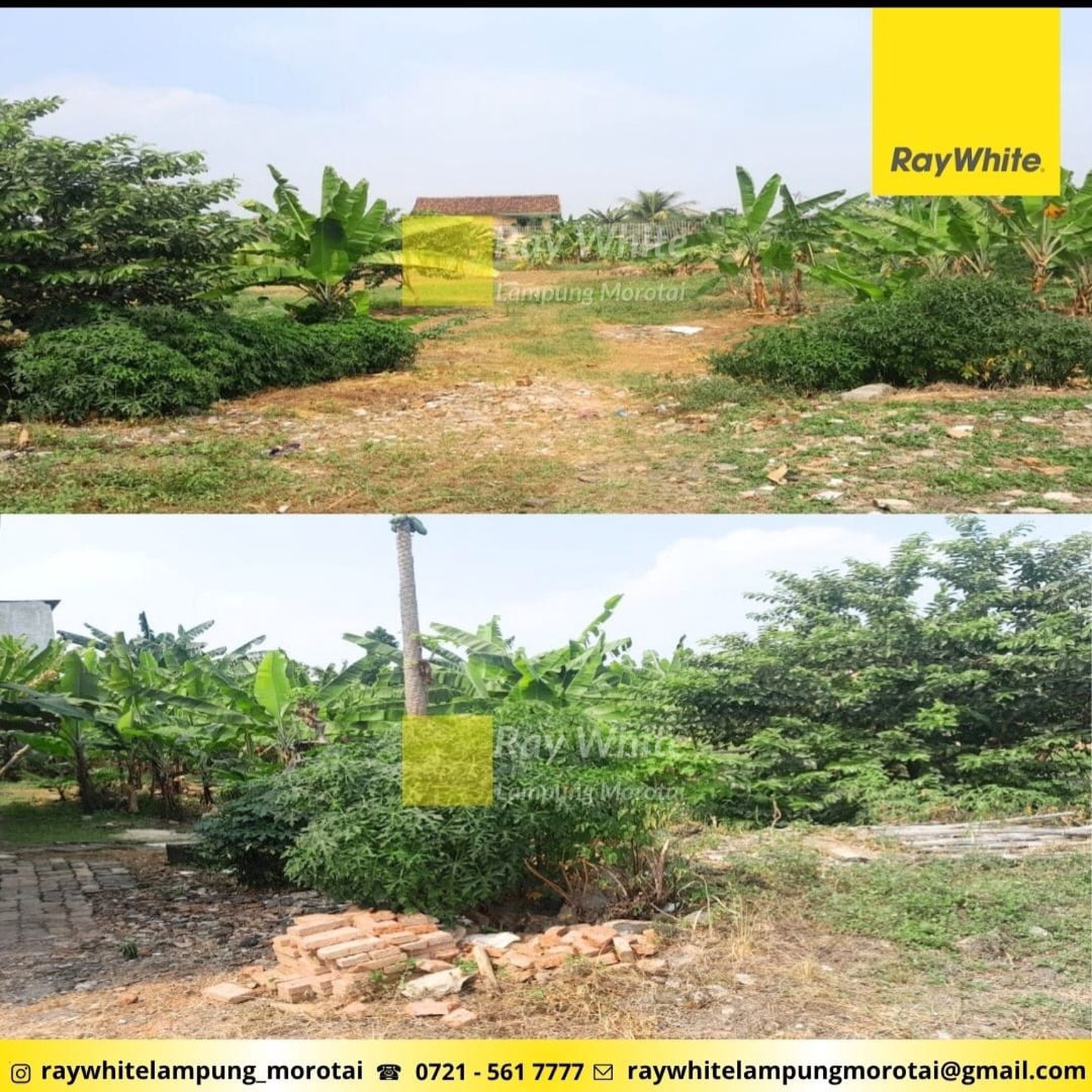 DIJUAL TANAH DI KEDAMAIAN KOTA BANDAR LAMPUNG