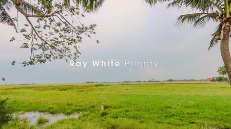 TANAH KAVLING DI GUNUNG SARI MAUK, TANGERANG, COCOK UNTUK CLUSTER, GUDANG