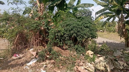 Tanaih 524 Meter Persegi Dekat SMKN 2 Kasihan, Bantul