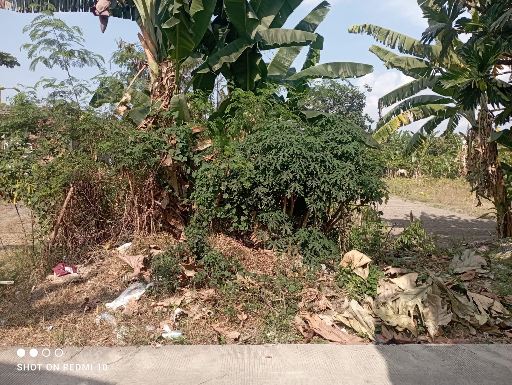 Tanaih 524 Meter Persegi Dekat SMKN 2 Kasihan, Bantul