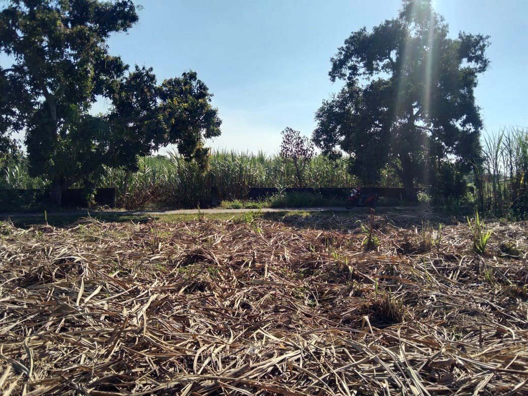 Tanah di Desa Karang Jeruk, Kec.Jatirejo Kab. Mojokerto Luas 6986 m2 ( 2 Sertifikat SHM ), Jalan sudah paving - PG -