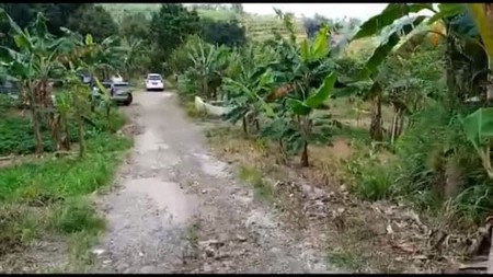 DIJUAL TANAH DI CIGOMBONG DIPINGGIR JALAN DESA (muat 2 mobil)