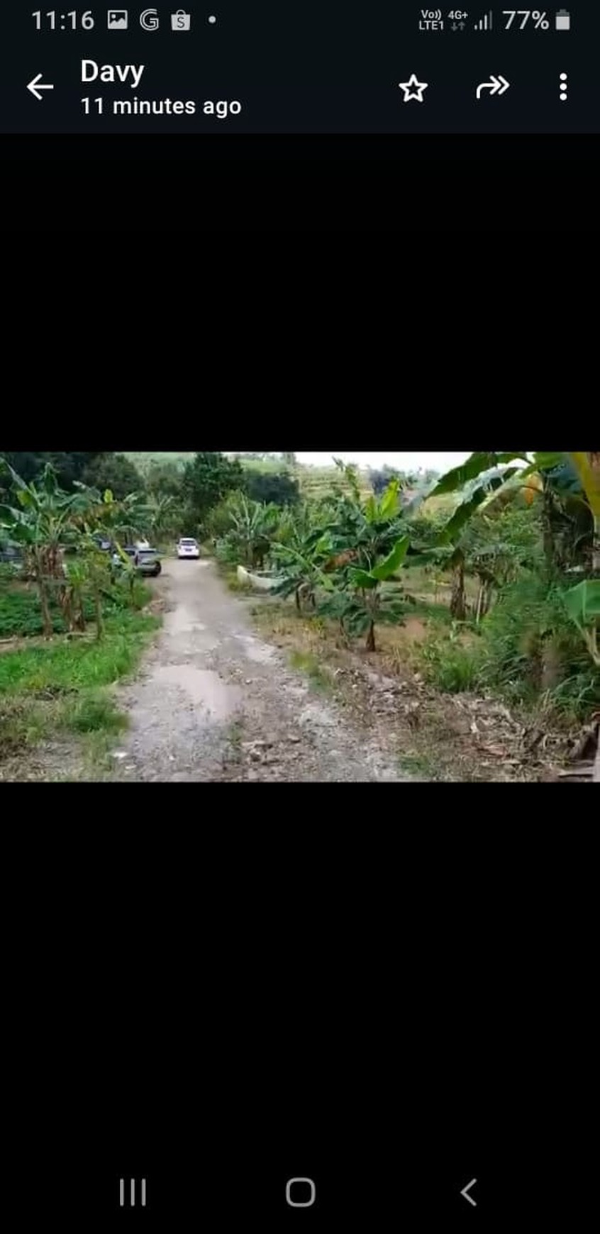 DIJUAL TANAH DI CIGOMBONG DIPINGGIR JALAN DESA (muat 2 mobil)