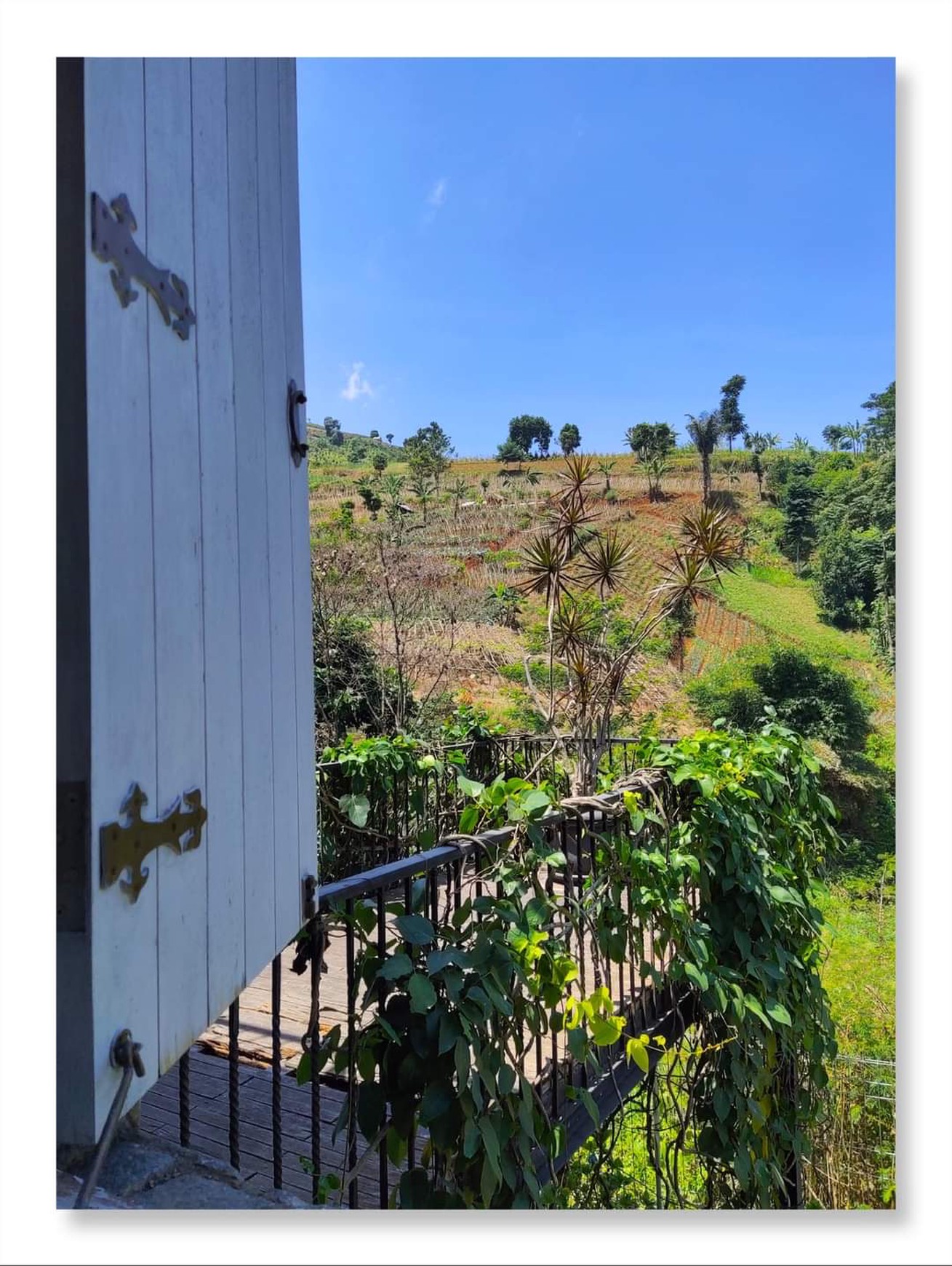 DIJUAL RUMAH VILLA CANTIK 2LT, GAYA EROPA DI VILLA DAGO PAKAR, BANDUNG