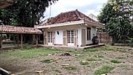 Tanah luas di Pogung Baru dekat kampus UGM jl kaliurang km5  sleman yogyakarta