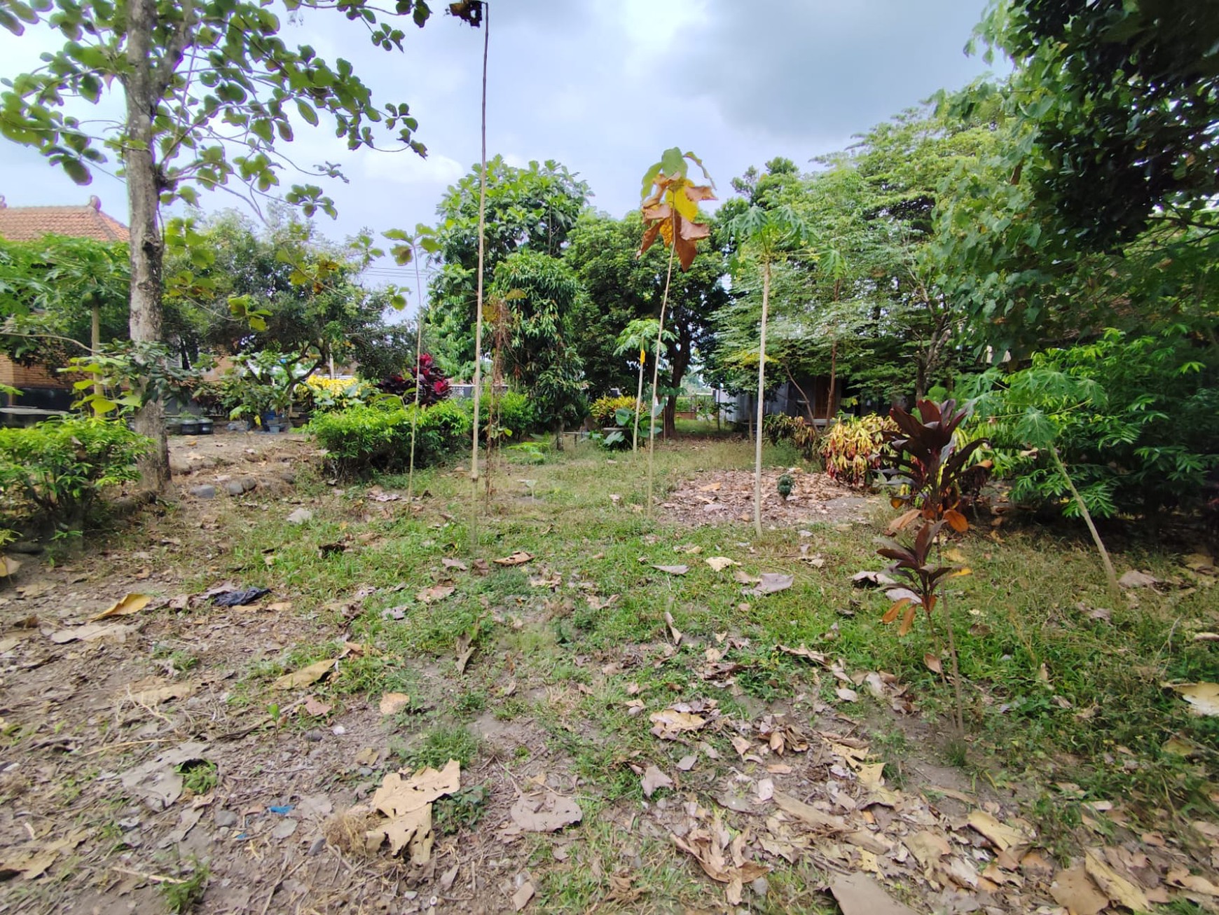 Tanah Pekarangan 1773 Meter Persegi, Lokasi Dekat Pasar Cebongan, Mlati, Sleman