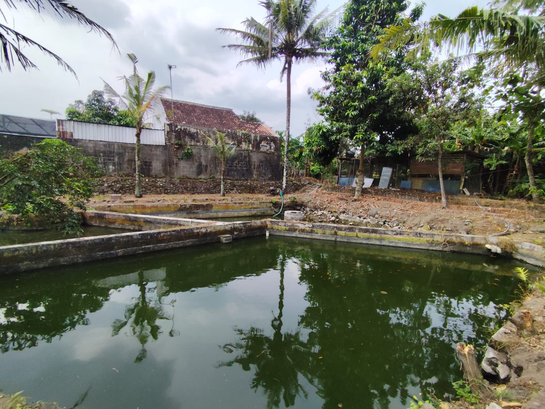 Tanah Pekarangan 1773 Meter Persegi, Lokasi Dekat Pasar Cebongan, Mlati, Sleman