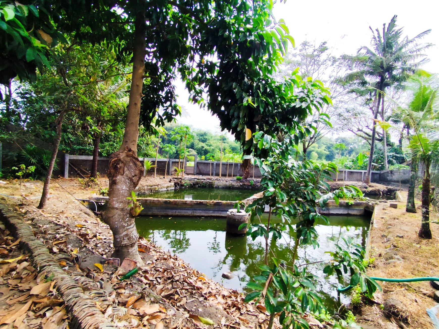 Tanah Pekarangan 1773 Meter Persegi, Lokasi Dekat Pasar Cebongan, Mlati, Sleman