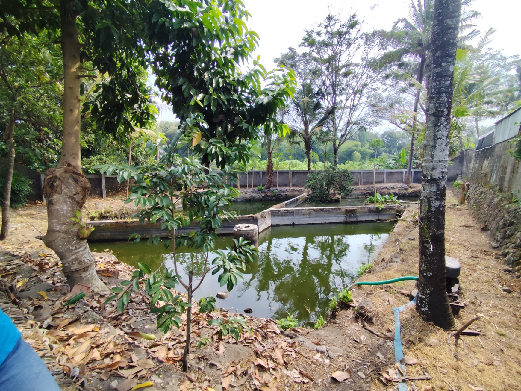 Tanah Pekarangan 1773 Meter Persegi, Lokasi Dekat Pasar Cebongan, Mlati, Sleman