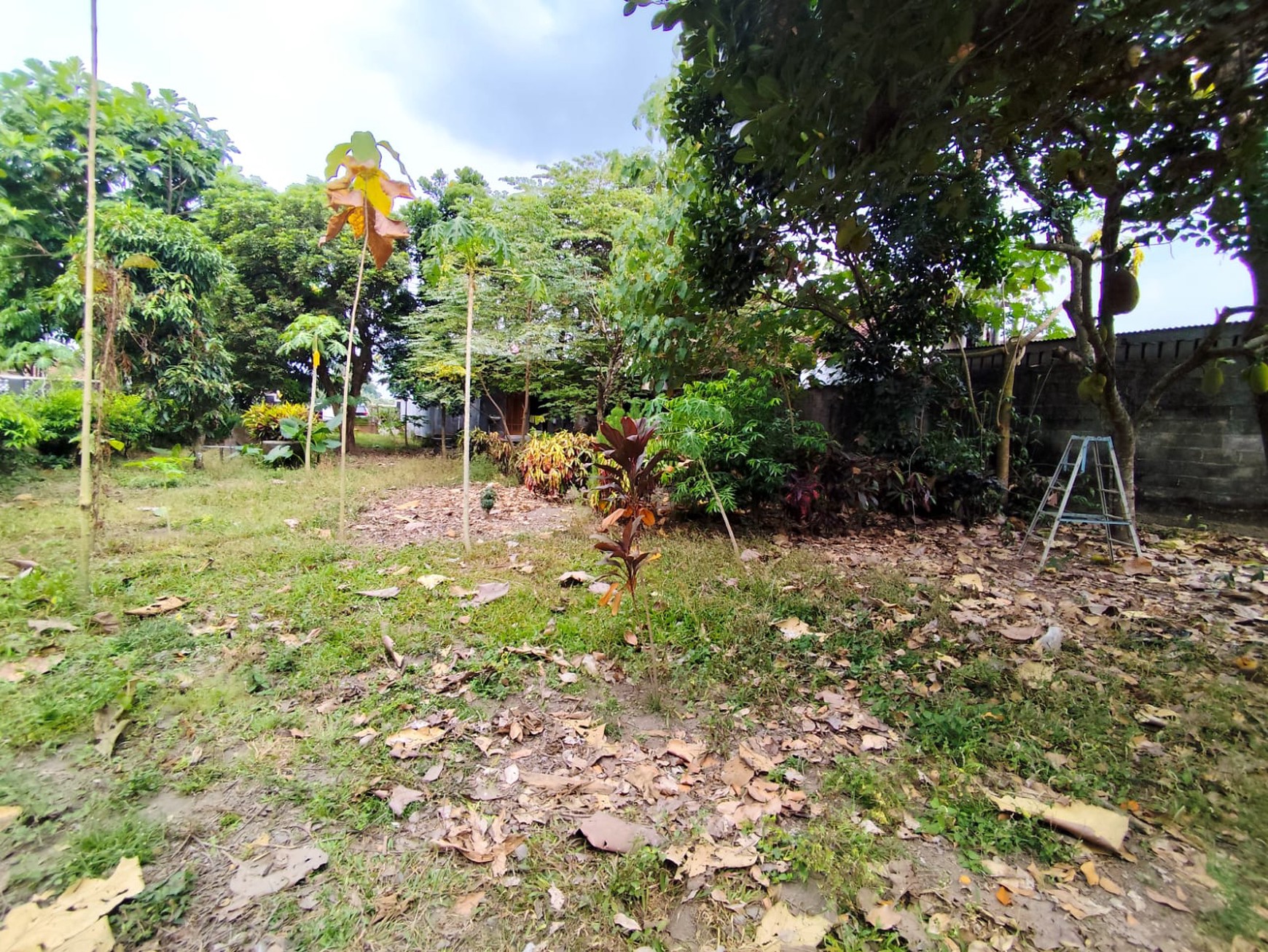 Tanah Pekarangan 1773 Meter Persegi, Lokasi Dekat Pasar Cebongan, Mlati, Sleman
