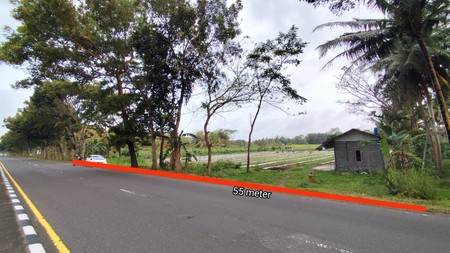 Tanah Pekarangan di Jl. Nasional Deandels, Purworejo - Hanya 10 Menit dari Bandara YIA.