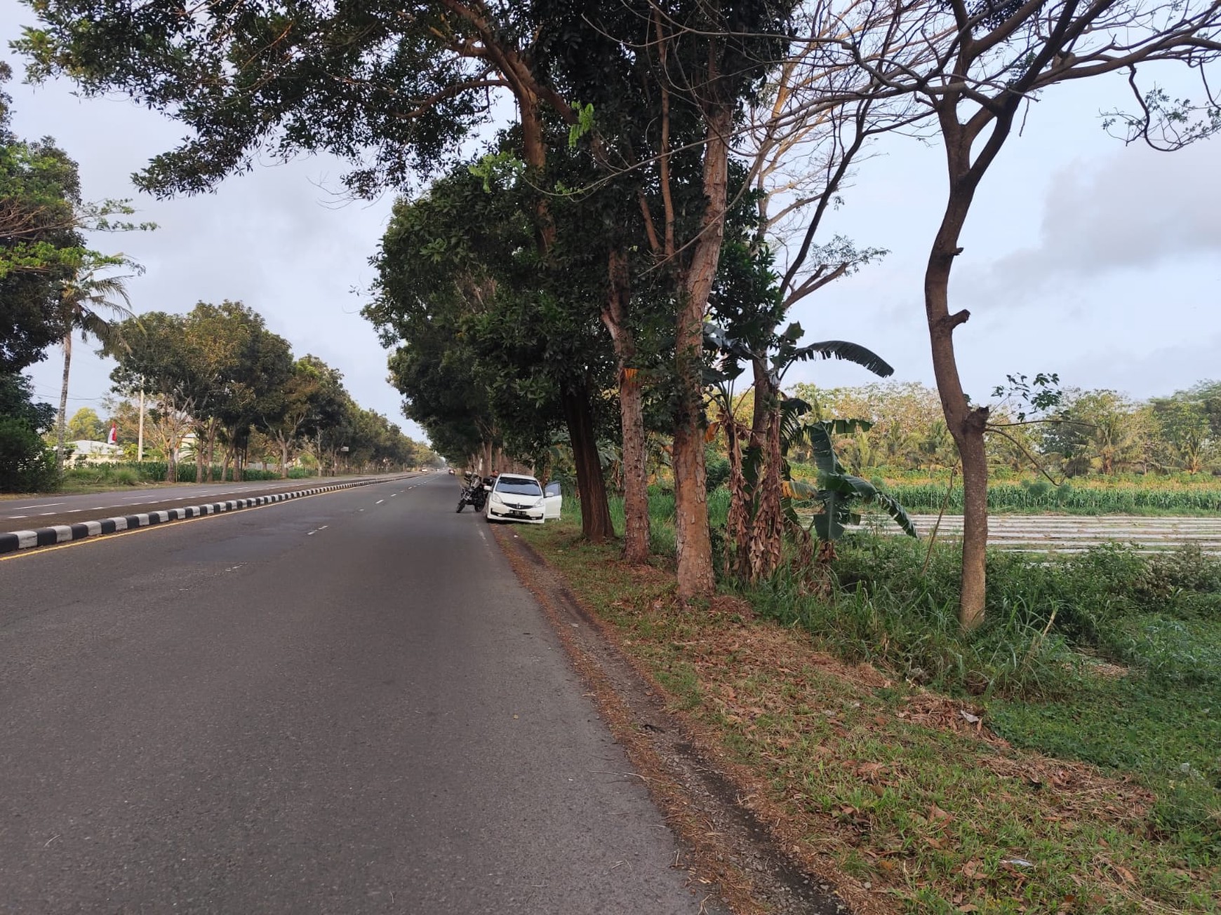 Tanah Pekarangan di Jl. Nasional Deandels, Purworejo - Hanya 10 Menit dari Bandara YIA.