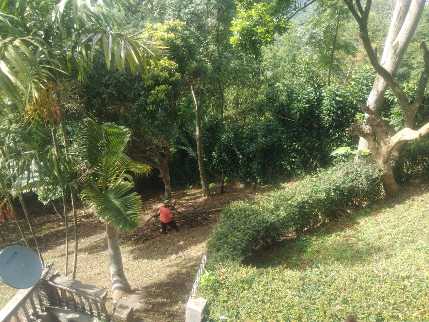 Tanah Bonus Rumah Asri jl Dago Giri Bandung