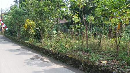 Tanah Luas 1165 Meter Persegi Lokasi Strategis Dekat RSUD Sleman 