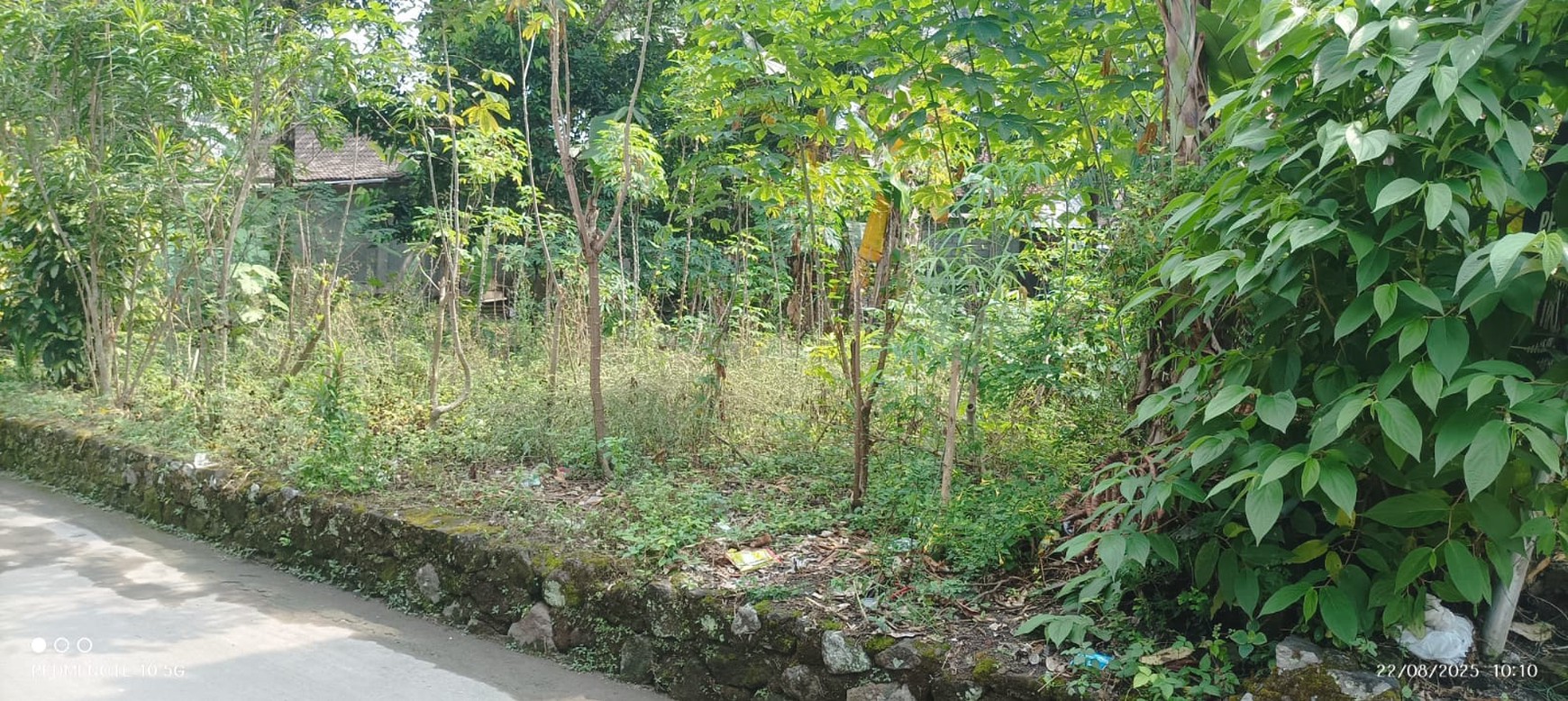 Tanah Luas 1165 Meter Persegi Lokasi Strategis Dekat RSUD Sleman 