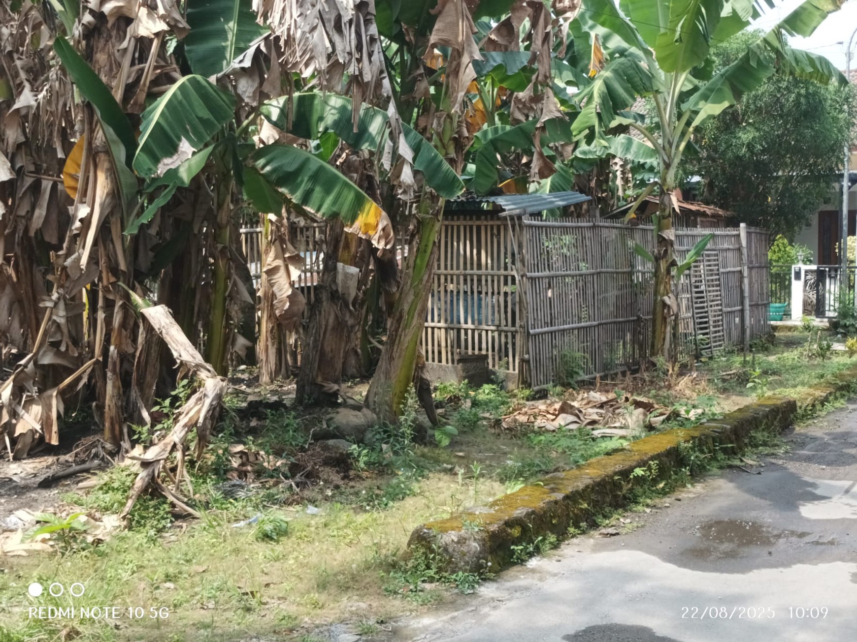 Tanah Luas 1165 Meter Persegi Lokasi Strategis Dekat RSUD Sleman 