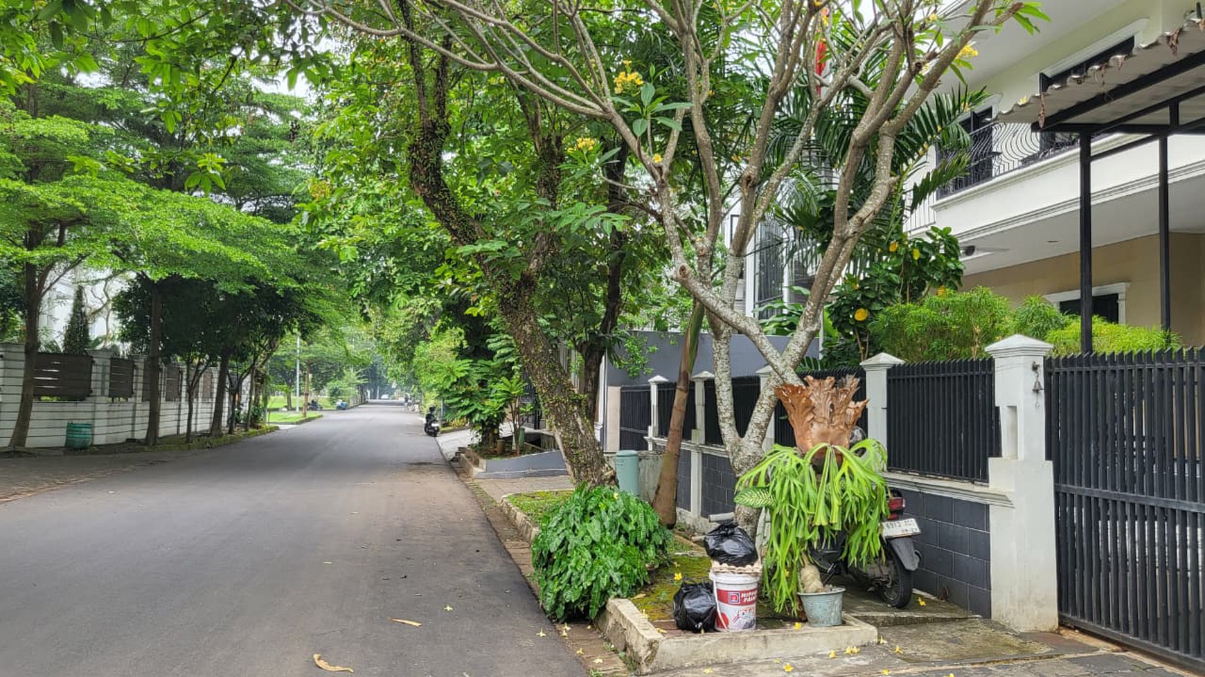 Rumah Mewah Dengan Kolam Renang Pribadi di Giri Loka BSD